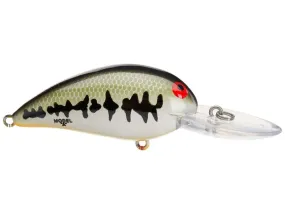 Bomber Model 7A Baby Bass/Orange Belly